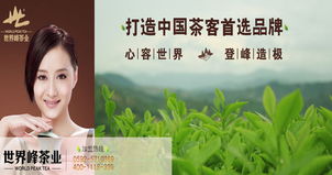 多元化經(jīng)營，打造茶產(chǎn)業(yè)全鏈條——公司業(yè)務(wù)介紹